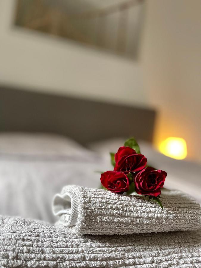 Downtown Apartment 4U 莱比锡 外观 照片